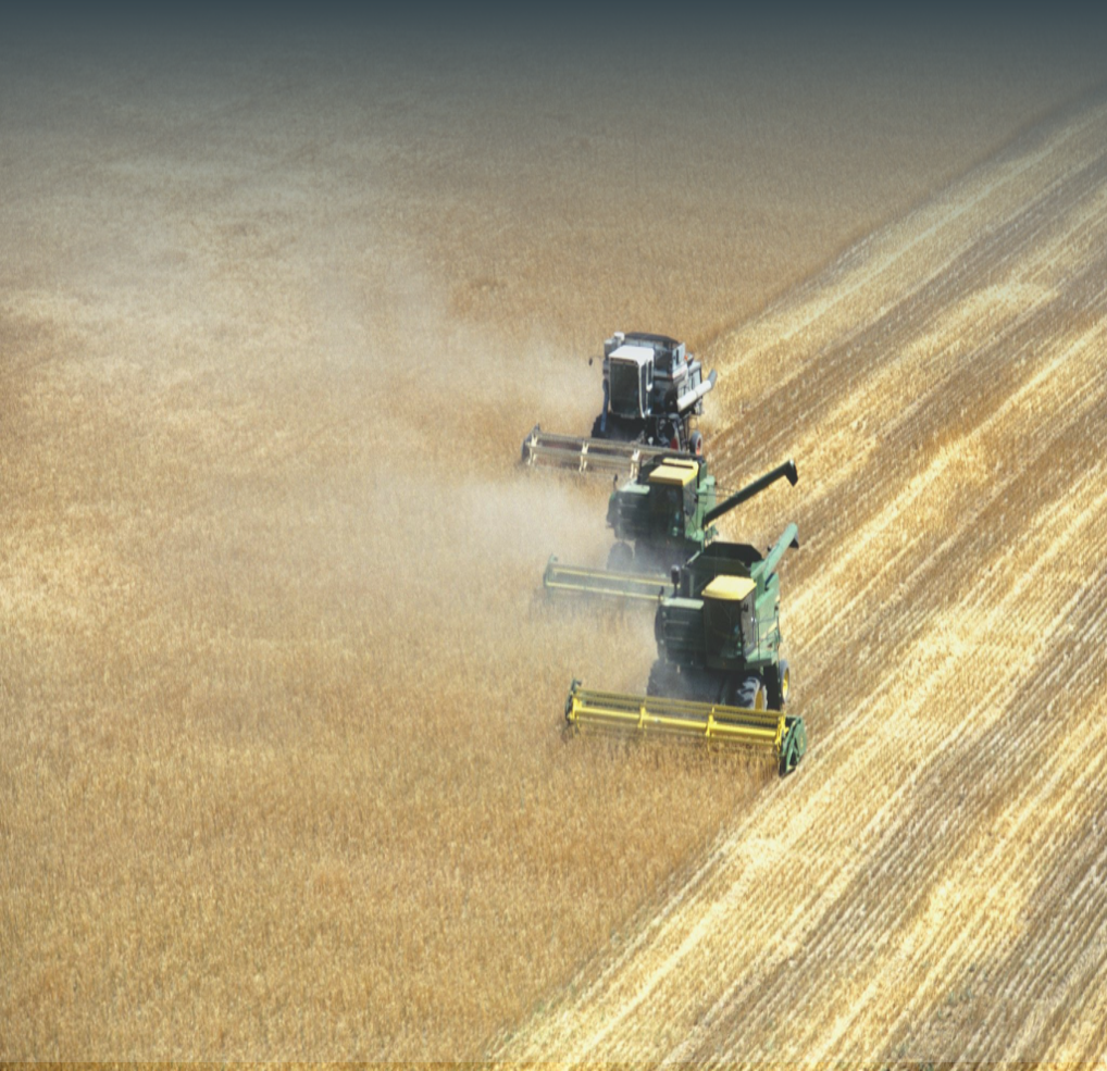 Golden wheat field under a bright sky with a tractor harvesting crops. The environment is open and rural, conveying abundance and growth. Visible text: Agricultural Products. The tone is optimistic and productive.